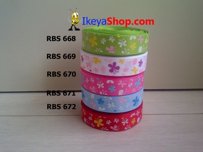 Pita RBS 668 672  large2